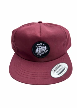 Scotts Valley Cycle Sport Along For The Ride Cycle Sport Hat