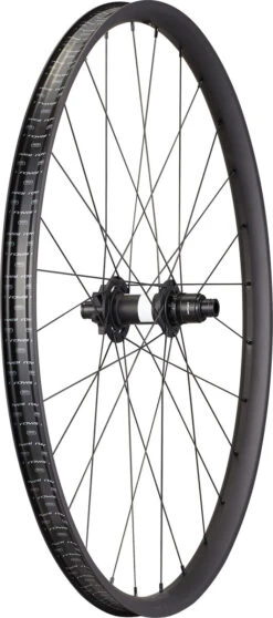 Roval Traverse Alloy 350 29 Rear