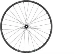 Specialized Control Alloy 350 6B 29 Rear